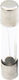 Safety Cylindrical Glass Slow-Blow 6x30mm 0.25A (01.028.0168) 100pcs