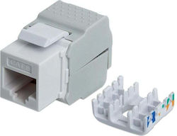 Intellinet Keystone 167062 1 Stück Intellinet Keystone 167062 1 Stück
