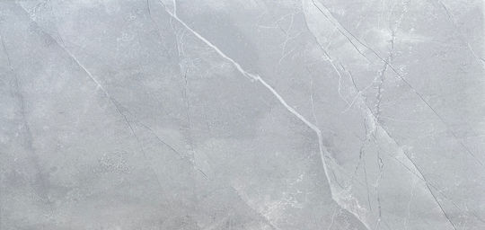 Etili Seramik Placă Perete Interior Ceramic Lucios 60x30cm Gri deschis