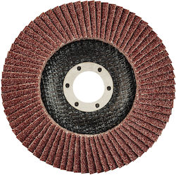 Graphite Disc De Șlefuire 125mm