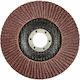 Graphite Schleifscheibe Metall 125mm