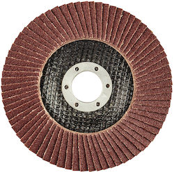 Graphite Δίσκος Λείανσης 125mm