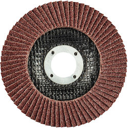 Graphite Disc de șlefuire Μetal 115mm
