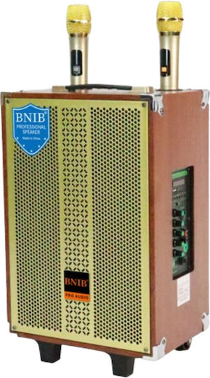 LTC Audio Karaoke-Lautsprecher mit Kabellosen Mikrofonen BT150 BT150 Braun