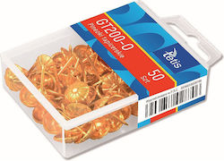 Tetis 50 Drawing Pins GT200-O