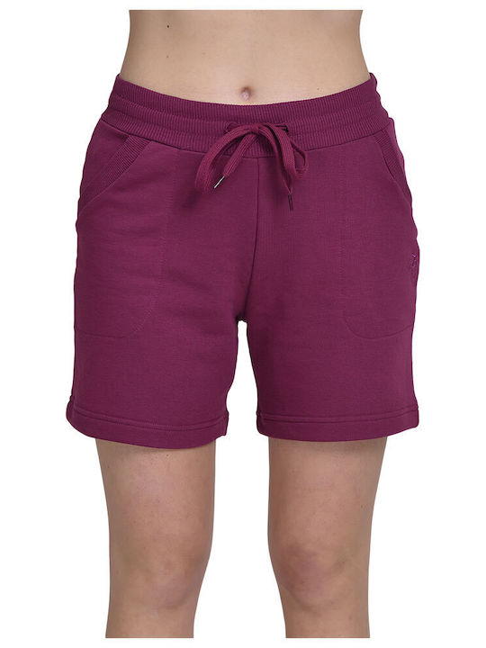 Target Women's Terry Shorts Purple