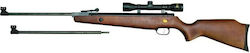 Beeman Air Gun