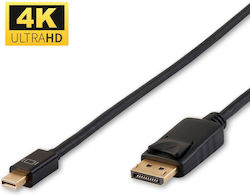 Microconnect DP-MMG-300MB DP Male - mini DP Male 3m