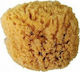 Natural Bath Sponge Beige