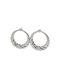 Κοχύλι Earrings Hoops