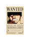 Walls Poster Roronoa Zoro 15x20cm
