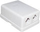 6p4c Telephone Socket with Double Frame and Sticker 01.075.0004