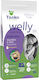 Welly Dry Cat Food for Neutered Cats with Rice and Salmon 15kg