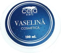 Ceta Sibiu Vaseline Βαζελίνη για Επούλωση 100ml Ceta Sibiu Vaseline Βαζελίνη για Επούλωση 100ml
