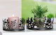 ArteLibre Desktop Decoration Garden 16pcsx16pcsx8pcs 05160764