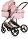 Chipolino Amore Adjustable 2 in 1 Baby Stroller...