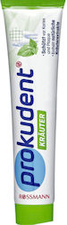 Prokudent Toothpaste 125ml