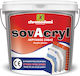 Χρωμοδομή Σοβάς Sovacryl 01-ΣΟΒ 25kg