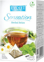 Evolet Selection Amestec De Ierburi Hibiscus Lemongrass Mentă 20 Pungi 45gr DB7M83MBM Evolet Selection Amestec De Ierburi Hibiscus Lemongrass Mentă 20 Pungi 45gr DB7M83MBM