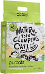 Cature Pure Tofu Clumping Cat Litter Green Tea Scent 6lt (2.4kg)