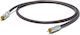 Oyaide 2m RCA male Cable