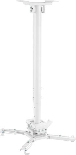 Vivolink Βάση Projector Οροφής με Μέγιστο Φορτίο 35kg Λευκή