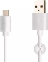 Fixed USB 2.0 USB-C männlich - USB-A 1m Fixed USB 2.0 USB-C männlich - USB-A 1m