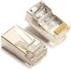 Anga Stecker RJ-45 männlich 50Stück (552-263)