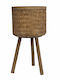 Zen Collection Κασπώ Μπεζ 37x37x67εκ.