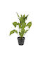 Artificial Plant in Pot Black 48cm 1pcs