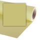 Colorama Photography Backdrop Paper 272x1100cm Green