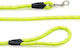 Glee Dog Leash/Lead Strap