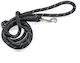 Glee Dog Leash/Lead Strap 0.61m x 0.8cm (Various Colors)
