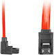 Lanberg 7-Pin SATA II to 7-Pin SATA II Cable 100cm Red (CA-SASA-13CC-0100-R)
