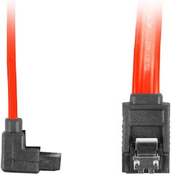 Lanberg 7-Pin SATA II to 7-Pin SATA II Cable 50cm Red (CA-SASA-13CC-0050-R)