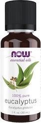 Now Foods Ätherisches Öl Eukalyptus 30ml Now Foods Ätherisches Öl Eukalyptus 30ml