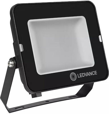 Ledvance Floodlight Waterproof LED Floodlight 50W Cold White 6500K IP65