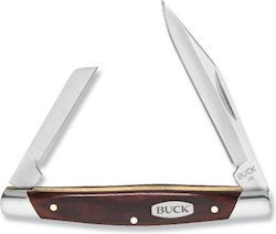 Buck Deuce Pocket Knife Silver