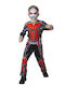 Costum de Carnaval pentru Copii Ant-man