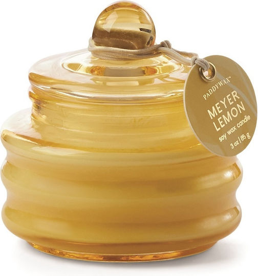 Paddywax Beam Aromatische Kerze in Gefäß Meyer-Zitrone
