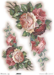 Next Roses 2 Natürliches Transparentpapier 42x29.7cm