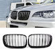Diederichs Car Decorative Mask BMW X5 (E70) / X6 (E71)