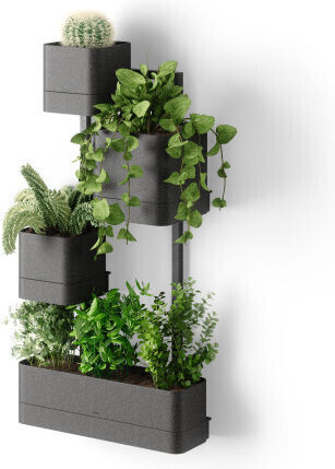 Umbra Plant Pot Plastic Black