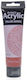 Phoenix Arts Acrylic Paint Set Burnt Sienna 684...