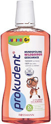 Prokudent Mouthwash 500ml