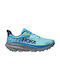 Hoka Challenger Bărbați Pantofi sport Trail Running Tricolour