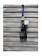 "μάτι Καρδιά" Hanging Lucky Charm 1pcs