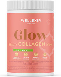 Wellexir 360gr Ice Tea