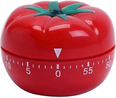 Countdown Analog Kitchen Timer