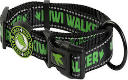 Kiwi Dog Collar in Green Color Medium Kiwi Dog Collar in Green Color Medium